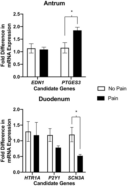 Characterizing clinical features and location-specific gene expression profiles associated with pain burden in children with functional dyspepsia