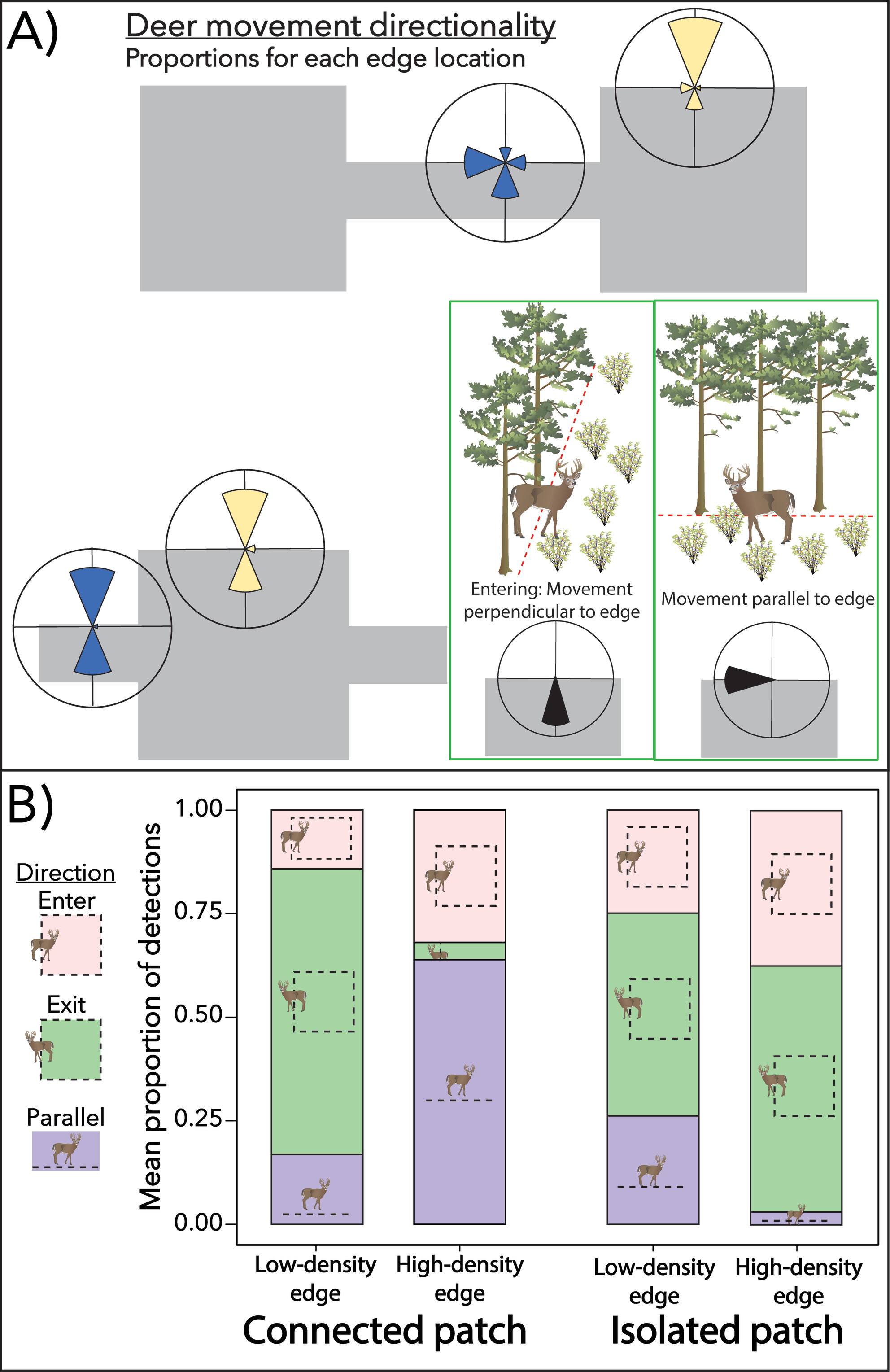 Deer Vigilance and Movement Behavior Are Affected by Edge Density and Connectivity