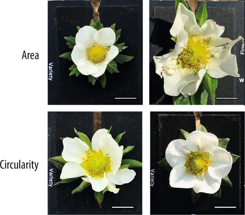 Details are in the caption following the image Details are in the caption following the image