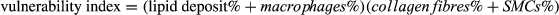 urn:x-wiley:15821838:media:jcmm13329:jcmm13329-math-0001