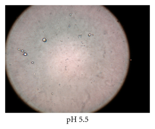 Details are in the caption following the image