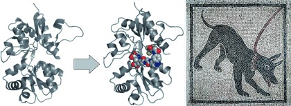 Optochemical Genetics