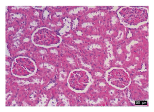 Details are in the caption following the image