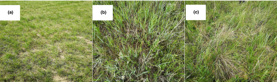 Retracted: Distributions of trace elements with long-term grazing exclusion in a semi-arid grassland of inner Mongolia