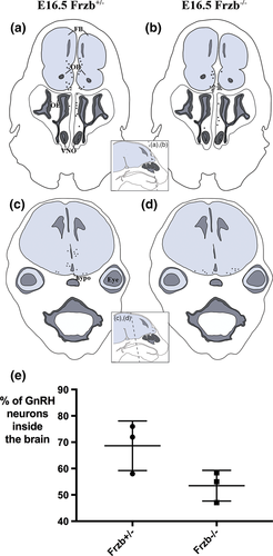 Details are in the caption following the image
