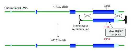 Details are in the caption following the image