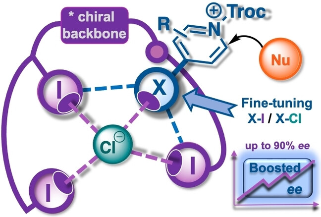 Fine-Tuning Substrate–Catalyst Halogen–Halogen Interactions for Boosting Enantioselectivity in Halogen-Bonding Catalysis
