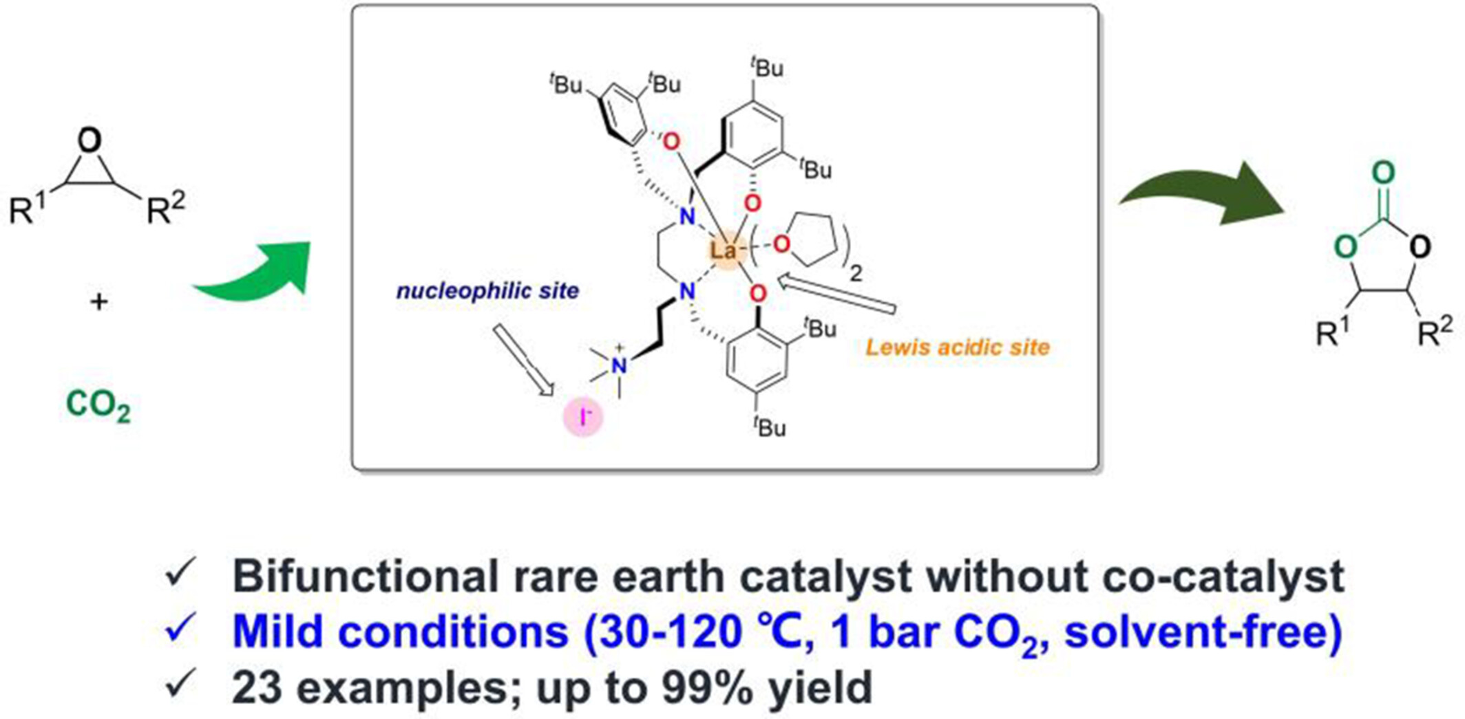 Cycloaddition Reactions of Epoxides and CO2 Catalyzed by Bifunctional Rare-Earth Metal Complexes Bearing Amino-Bridged Tris(phenolato) Ligands
