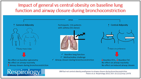 BMI but not central obesity predisposes to airway closure during bronchoconstriction