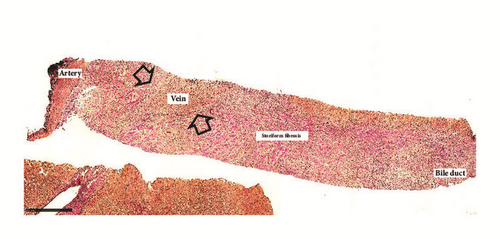 Details are in the caption following the image