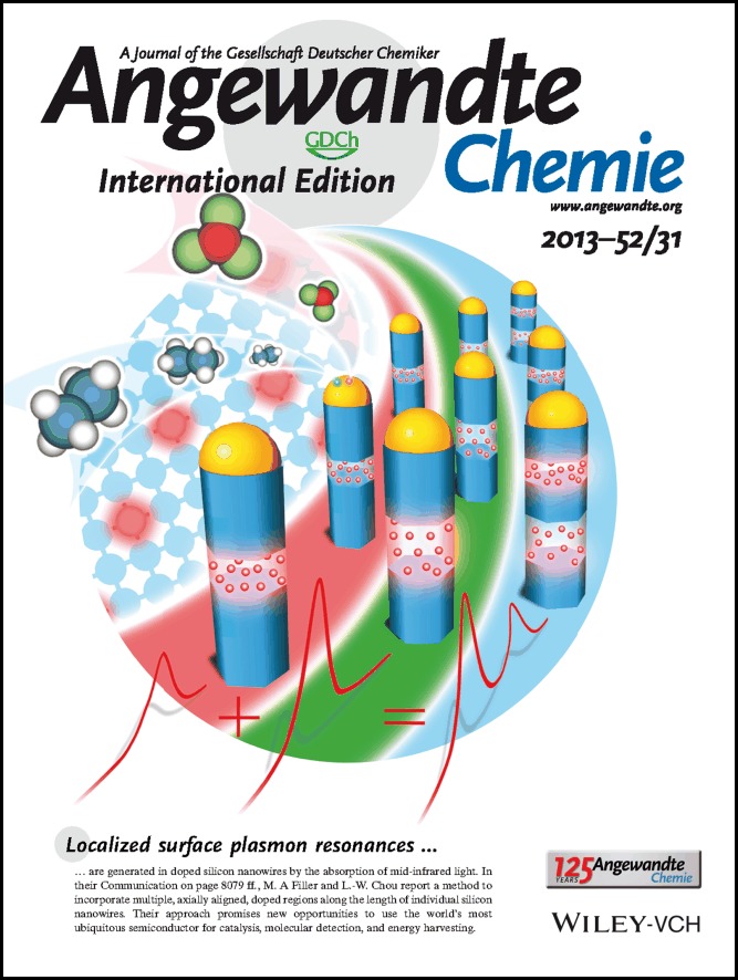 Inside Back Cover: Engineering Multimodal Localized Surface Plasmon Resonances in Silicon Nanowires (Angew. Chem. Int. Ed. 31/2013)