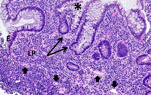 Details are in the caption following the image Details are in the caption following the image