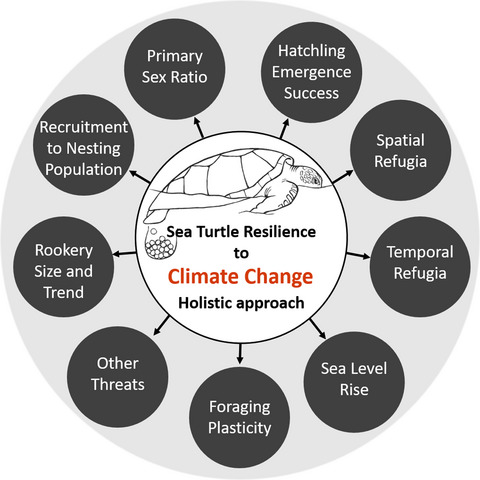 Climate change resilience of a globally important sea turtle nesting population