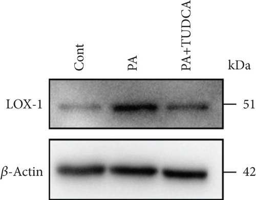 Details are in the caption following the image