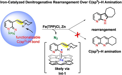 Iron-Catalyzed Radical Activation Mechanism for Denitrogenative Rearrangement Over C(sp3)–H Amination