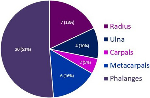 An analysis of radiographer preliminary image evaluation – A focus on common false negatives