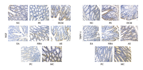 Details are in the caption following the image Details are in the caption following the image