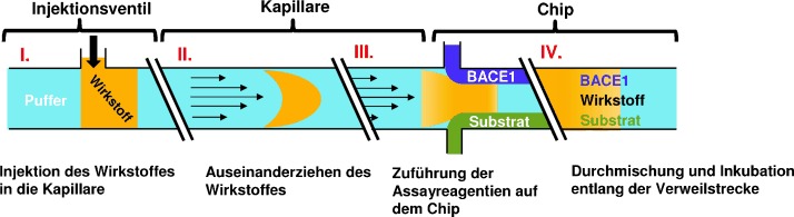 Nahtlose Integration von Dosis-Wirkungs-basiertem Screening und Flusschemie: effiziente Erzeugung von Struktur-Aktivitäts-Beziehungen von β-Sekretase(BACE1)-Hemmern