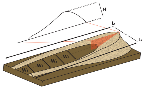 Details are in the caption following the image