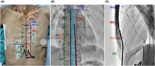 Details are in the caption following the image Details are in the caption following the image