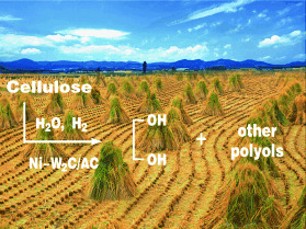 Direct Catalytic Conversion of Cellulose into Ethylene Glycol Using Nickel-Promoted Tungsten Carbide Catalysts