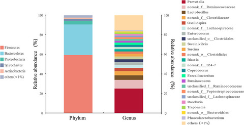 Gut microbiota are associated with sex and age of host: Evidence from semi-provisioned rhesus macaques in southwest Guangxi, China
