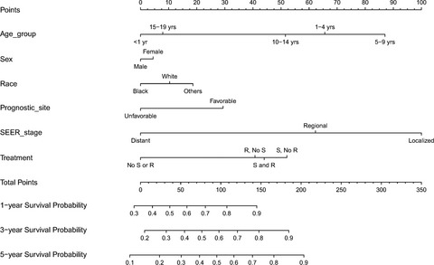 Characteristics and prognosis of embryonal rhabdomyosarcoma in children and adolescents: An analysis of 464 cases from the SEER database