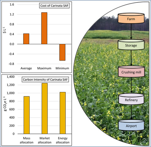 Break-even price and carbon emissions of carinata-based sustainable aviation fuel production in the Southeastern United States