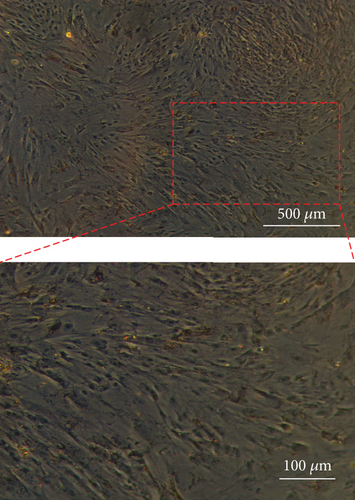 Details are in the caption following the image
