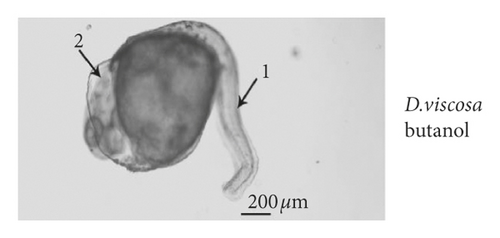 Details are in the caption following the image