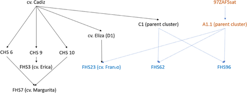 Details are in the caption following the image Details are in the caption following the image