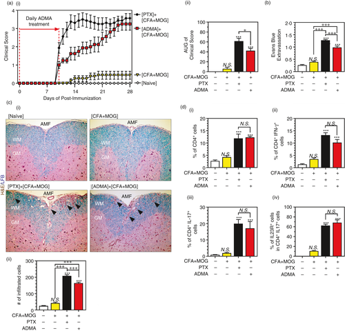 Details are in the caption following the image Details are in the caption following the image