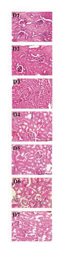 Details are in the caption following the image