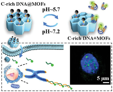 Proton-Mediated Dynamic Nestling of DNA Payloads Within Size-Matched MOFs Nanochannels for Smart Intracellular Delivery