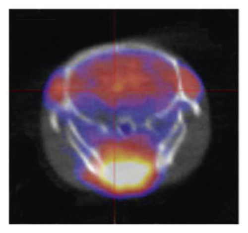 Details are in the caption following the image Details are in the caption following the image