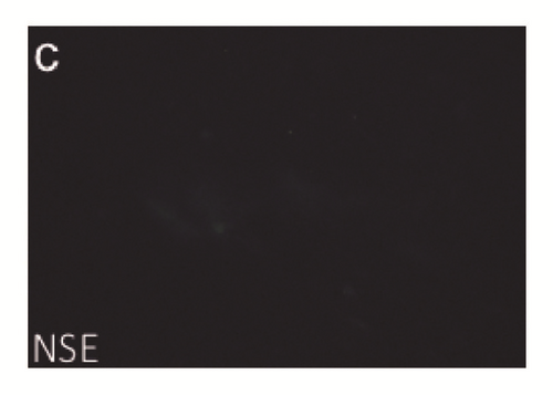Details are in the caption following the image