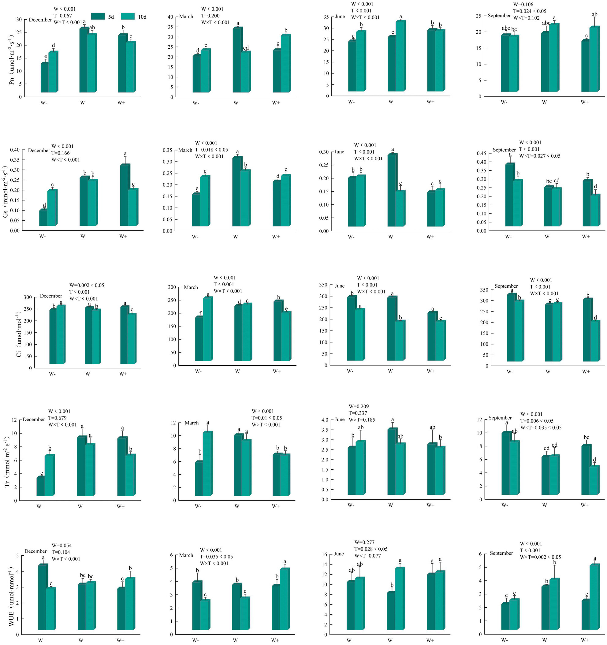 Response of Leaf Traits and Photosynthetic Fluorescence Characteristics of Fraxinus malacophylla Seedlings to Rainfall Patterns During Dry and Rainy Seasons in Southwestern China