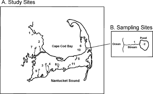 Details are in the caption following the image