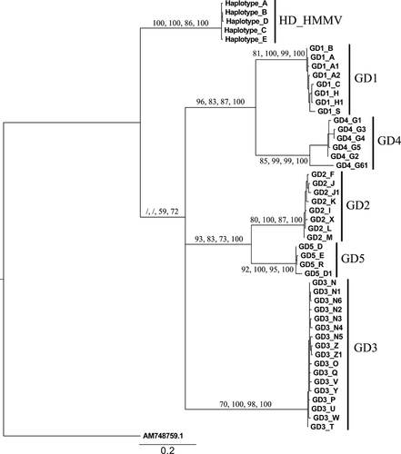Details are in the caption following the image Details are in the caption following the image