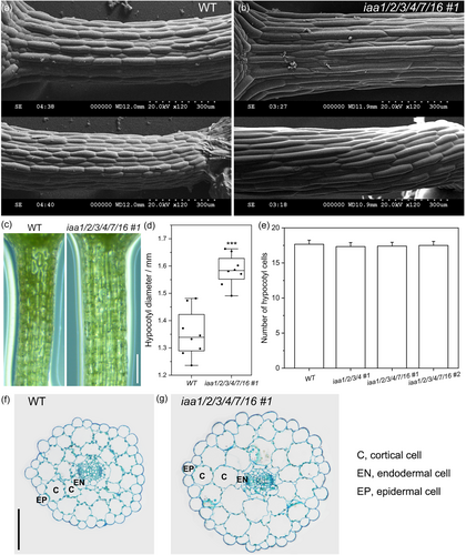 Details are in the caption following the image Details are in the caption following the image