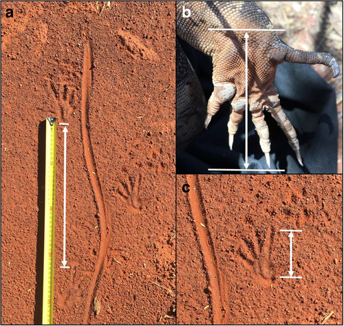 Details are in the caption following the image