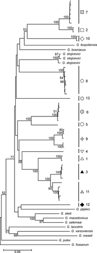 Details are in the caption following the image Details are in the caption following the image