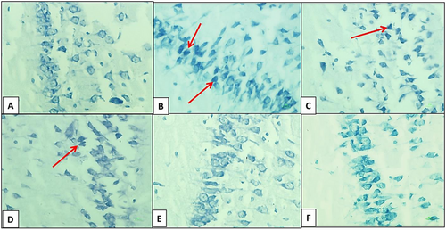 Details are in the caption following the image