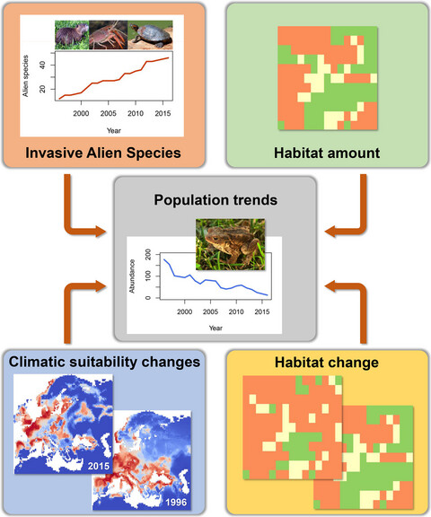 Continental-scale determinants of population trends in European amphibians and reptiles