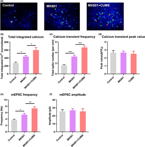 Exploration of the cortical pathophysiology underlying visual disturbances in schizophrenia comorbid with depressive disorder—An evidence from mouse model