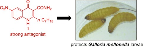 Overcoming the Unexpected Functional Inversion of a PqsR Antagonist in Pseudomonas aeruginosa: An In Vivo Potent Antivirulence Agent Targeting pqs Quorum Sensing