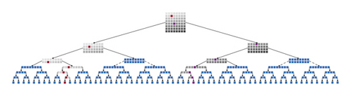 Details are in the caption following the image Details are in the caption following the image