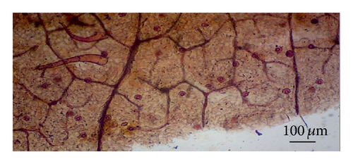 Details are in the caption following the image