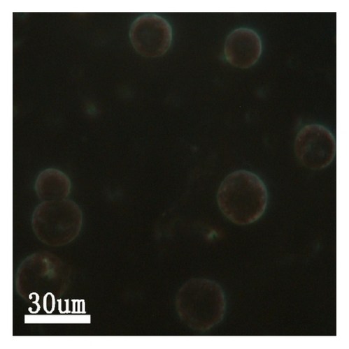 Details are in the caption following the image