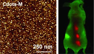 In Vivo NIR Fluorescence Imaging, Biodistribution, and Toxicology of Photoluminescent Carbon Dots Produced from Carbon Nanotubes and Graphite